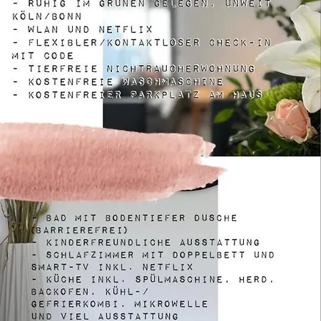 Barrierefreie In Winterscheid Nahe Koeln Bonn Bis 4 Personen Mit Netflix Und Mehr